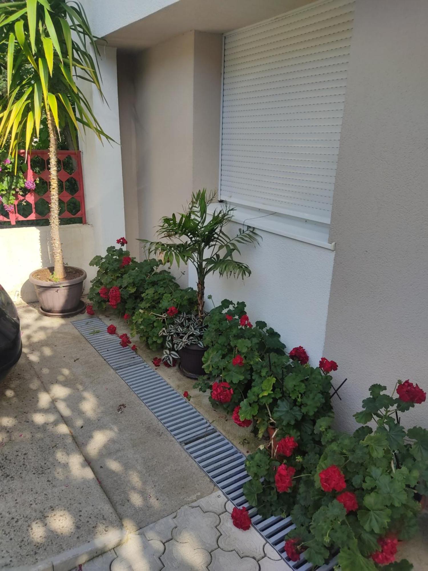 Apartments Ratkovic Trebinje Exterior photo
